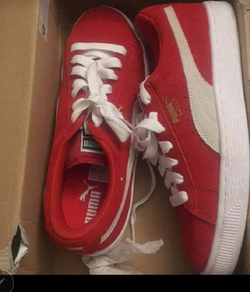 Pumas